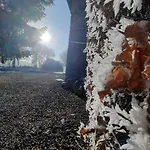 Les 12 Bois Du Cerf بيت للعطل