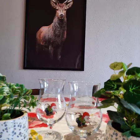 Les 12 Bois Du Cerf 別荘