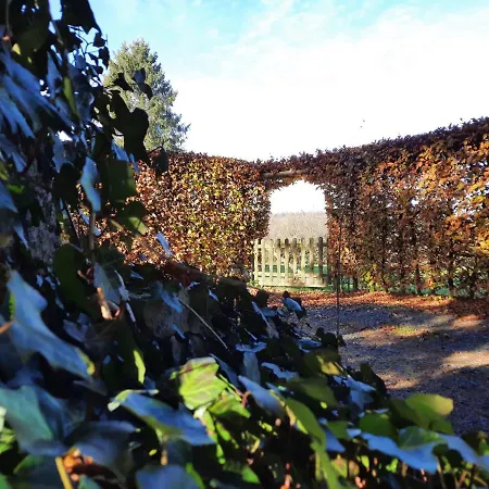 Les 12 Bois Du Cerf 別荘 Tailles