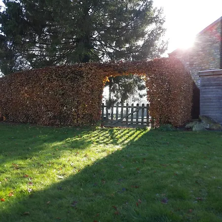 Les 12 Bois Du Cerf * Tailles