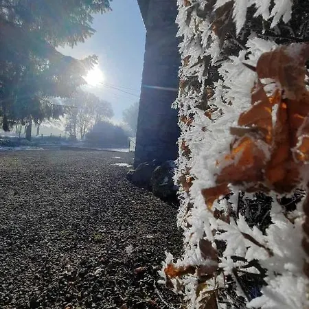 Les 12 Bois Du Cerf Feriehus