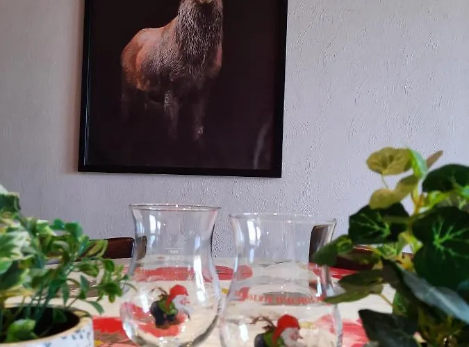 Les 12 Bois Du Cerf 別荘