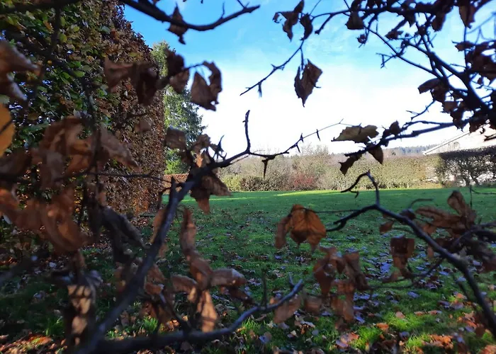 Les 12 Bois Du Cerf 別荘 *