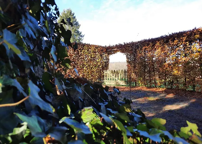 Les 12 Bois Du Cerf 別荘 Tailles