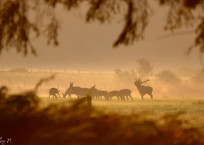 別荘 Les 12 Bois Du Cerf Tailles
